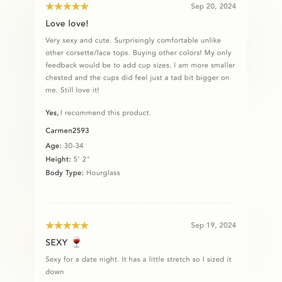 NWT Size XL - The Giselle Lace Bustier - Picture 2 of 16